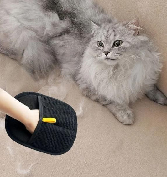 🐾 Pet Hair Remover Glove – Reusable Fur Cleaning Mitt (Pack of 2)